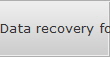 Data recovery for New Rochelle data